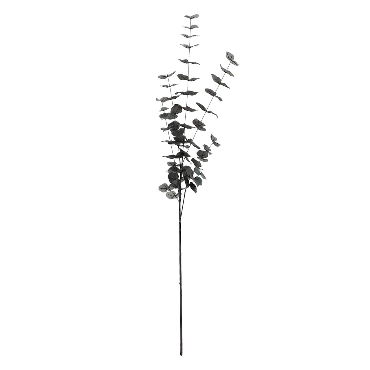12 Pack: 46" Tall Black Eucalyptus Stem by Ashland®